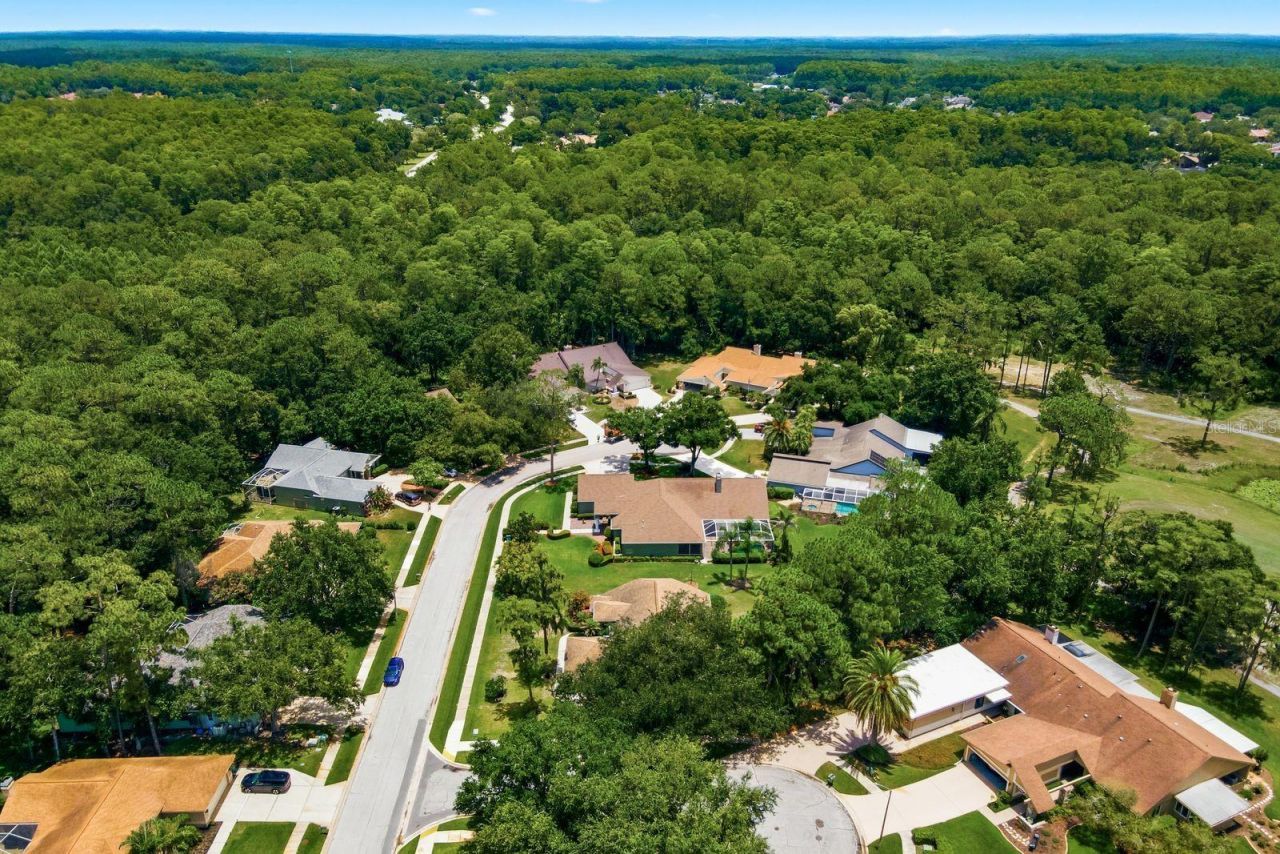 3480 Tanglewood Trail , Palm Harbor, FL 34685 Photo