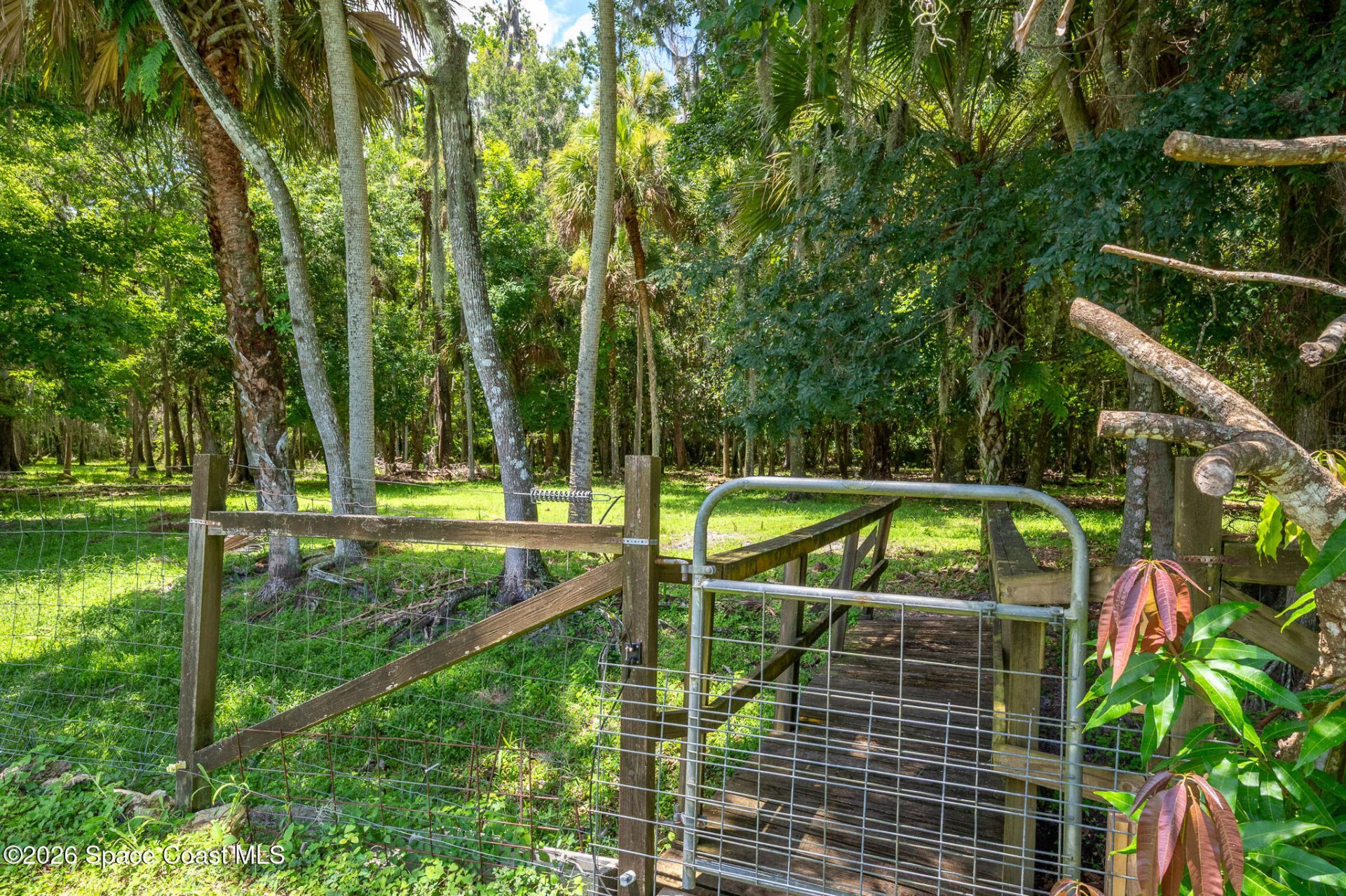 1140 Turnbull Grove Road, Oak Hill, FL 32759 Photo