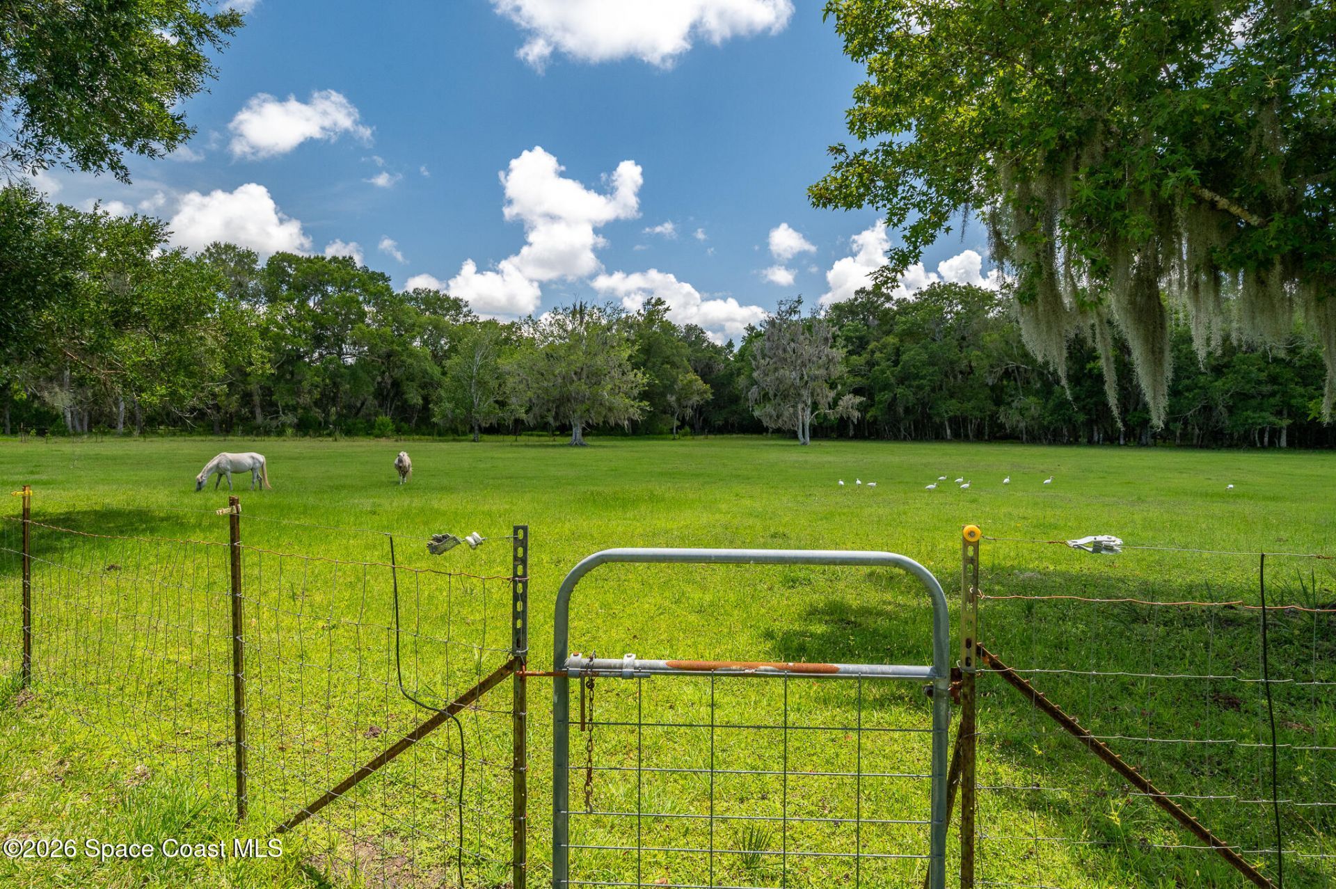 1140 Turnbull Grove Road, Oak Hill, FL 32759 Photo