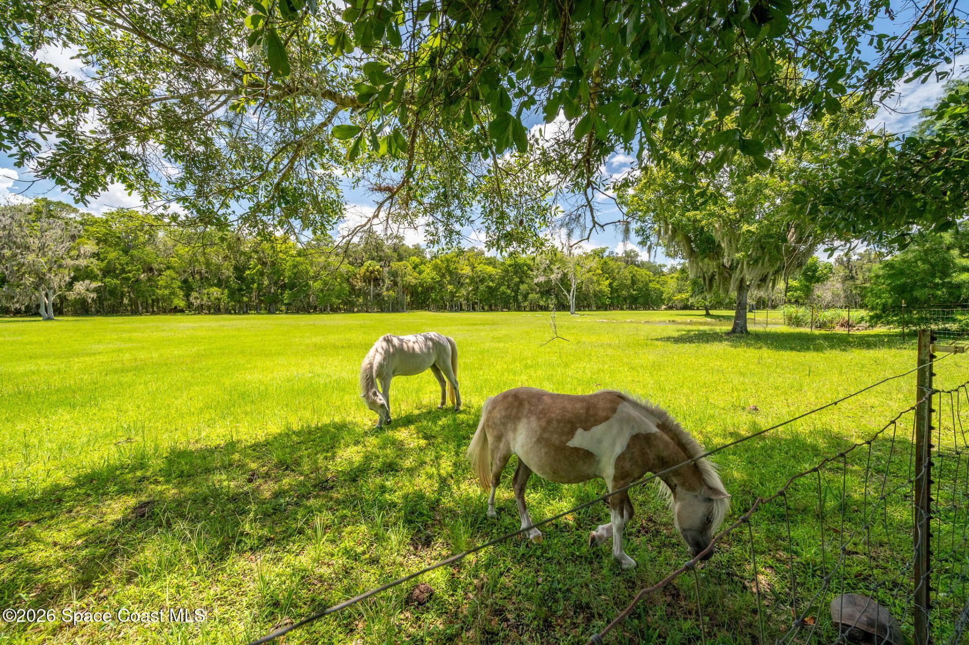 1140 Turnbull Grove Road, Oak Hill, FL 32759 Photo