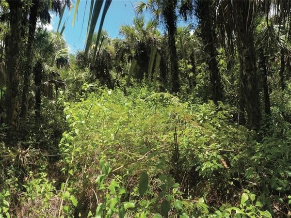 NAPLES, FL 34117