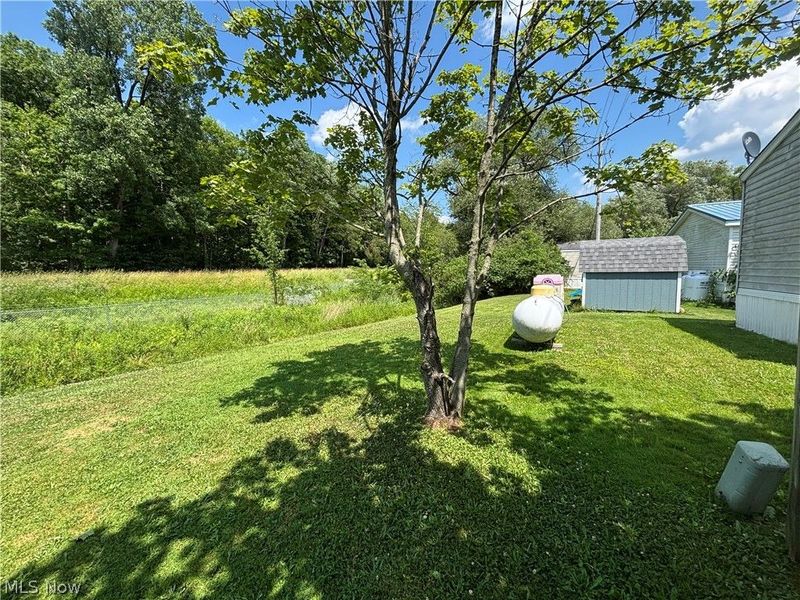 6315 Amanda, Ravenna, OH 44266 Photo 5