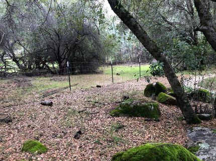 7220-7210 Horseshoe Ln, Placerville, CA 95667 Photo