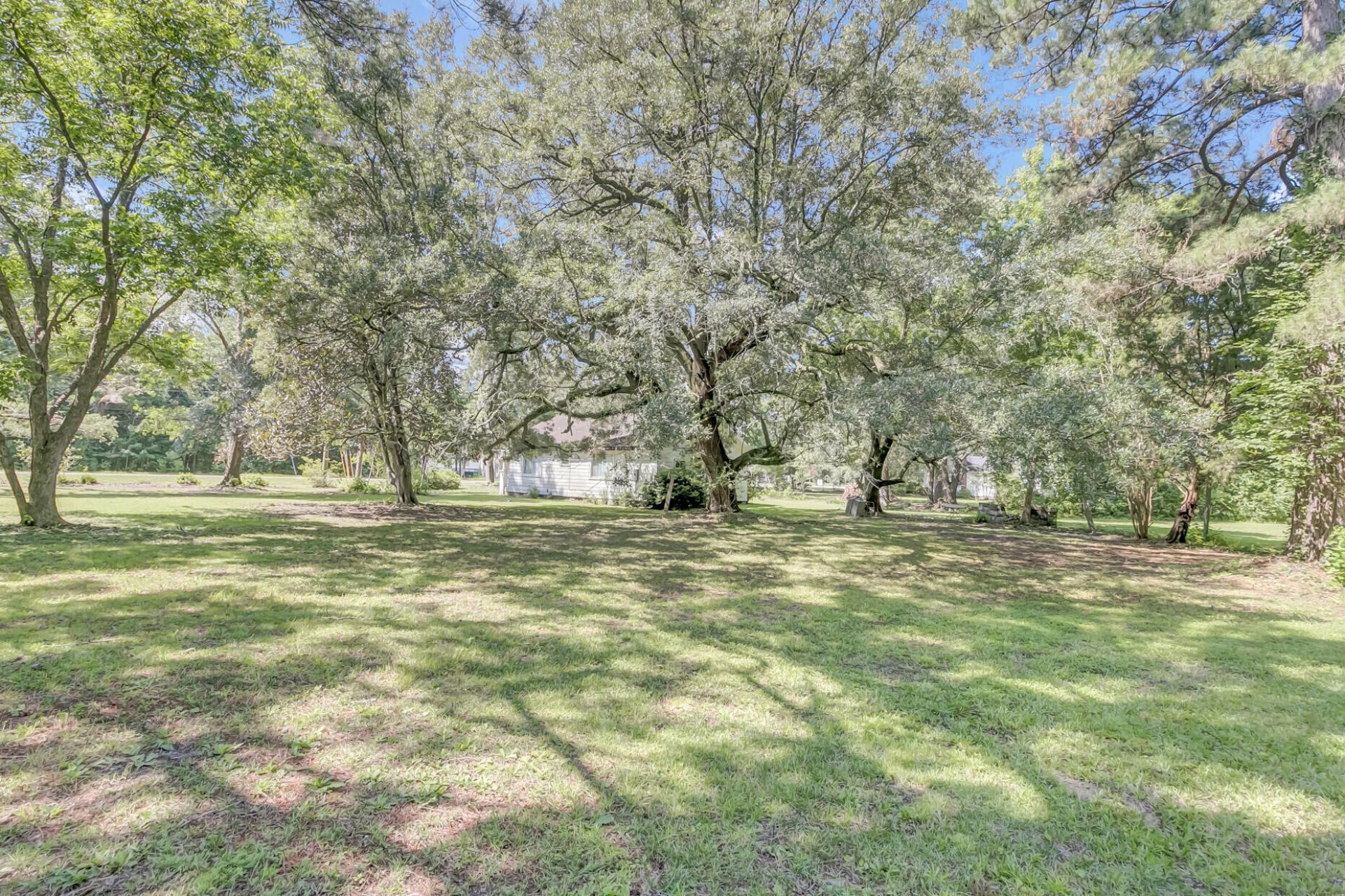 1736 Central Avenue Photo 6