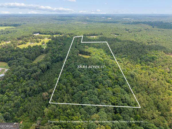 28.61 ACRES Sandy Creek Road, Madison, GA 30650