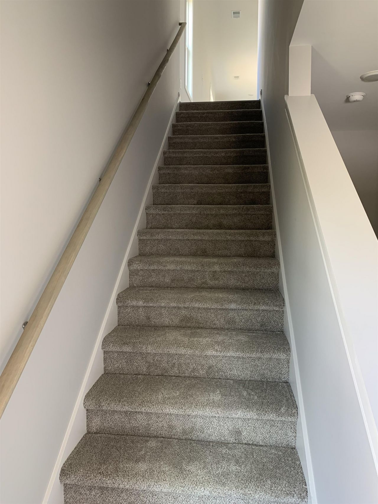 1726 Cenith Dr.  Photo 31
