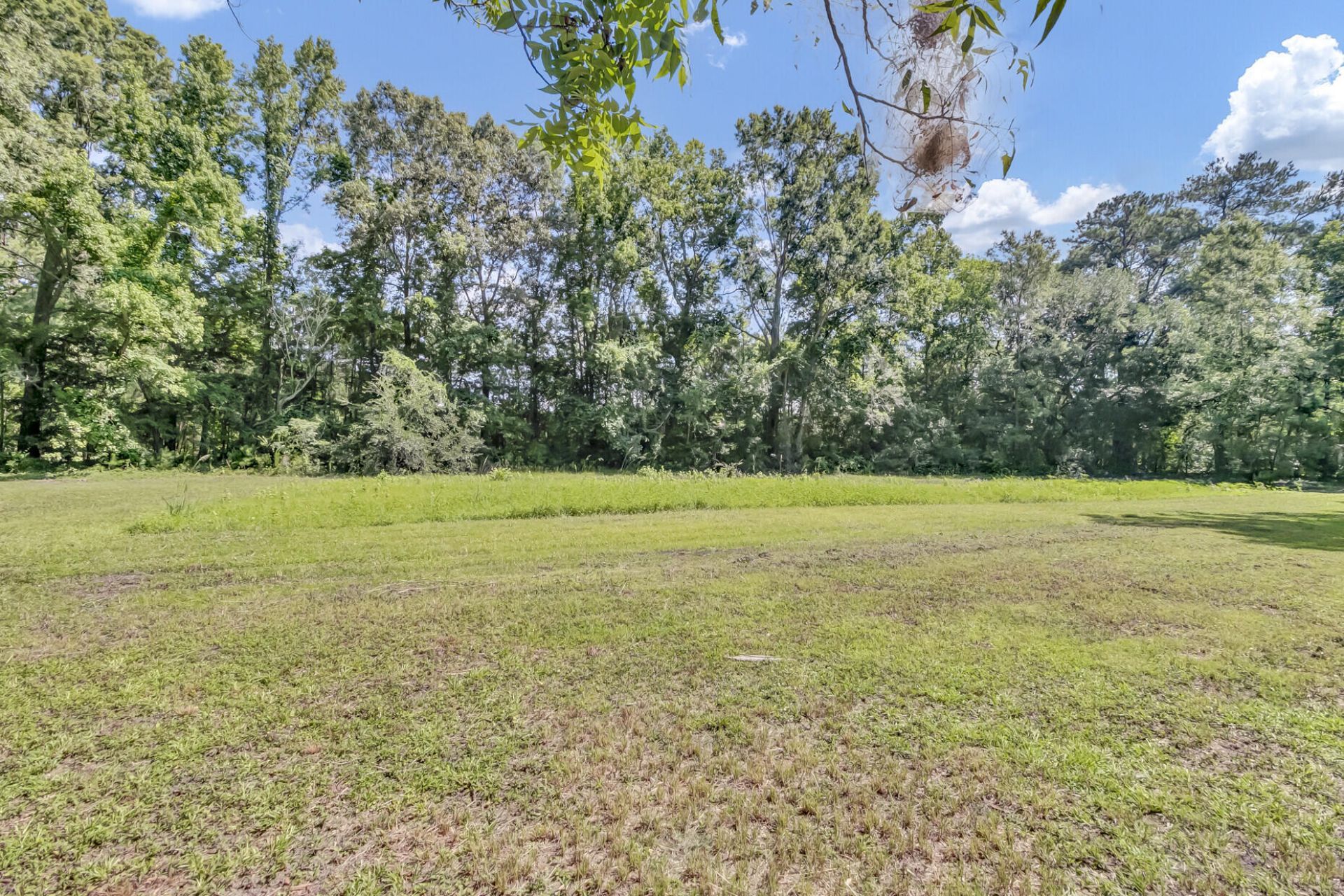 1736 Central Avenue Photo 23