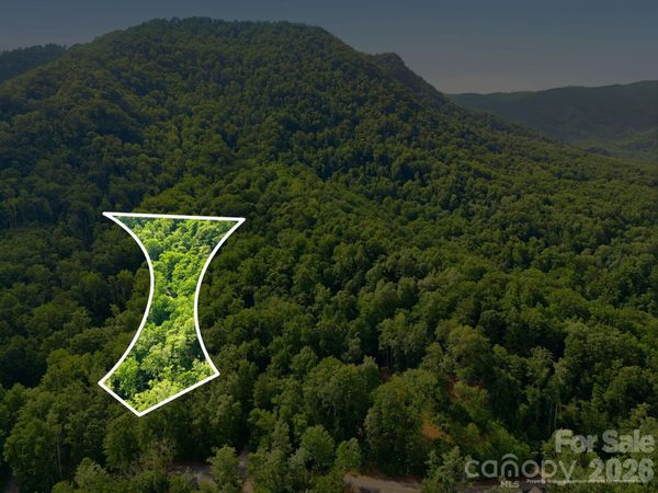 0000 Rocky Branch Trail, Marion, NC 28752