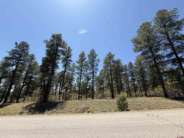 TBD Edgemont Highlands Drive, Durango, CO 81301