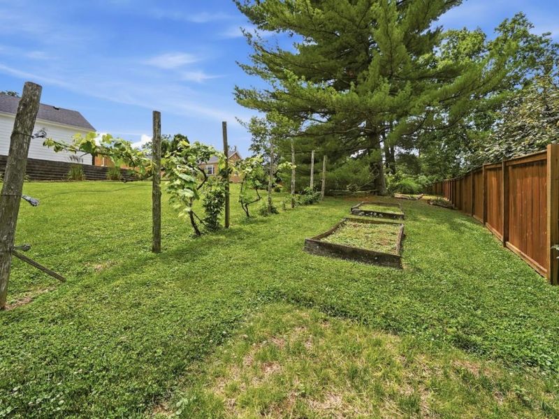 6596 Springdale Road, Colerain Township, OH 45247 Photo 60