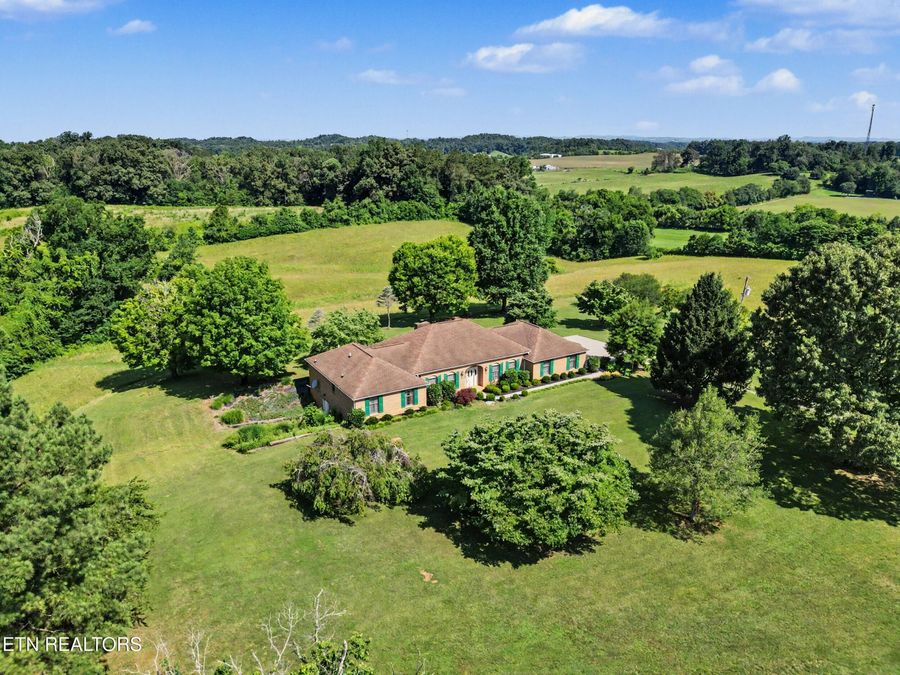 Property Image 40