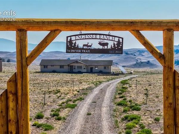 74 Dwyer Trail, Hartsel, CO 80449