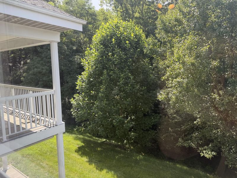 16 Thomas Pointe Drive, Fort Thomas, KY 41075 Photo 39