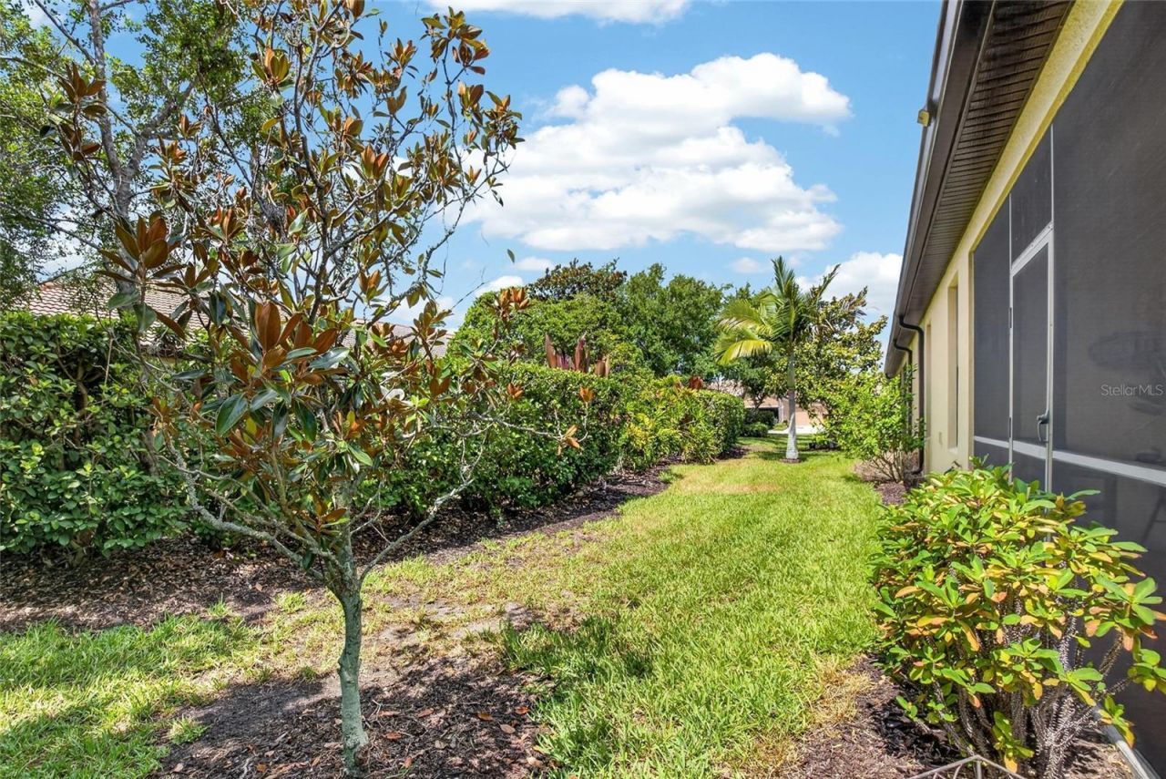 342 Bluewater Falls Court , Apollo Beach, FL 33572 Photo