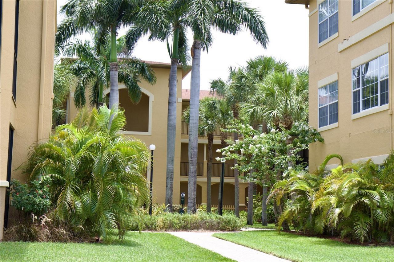 4323 Bayside Village Drive , Unit 306, Tampa, FL 33615 Photo
