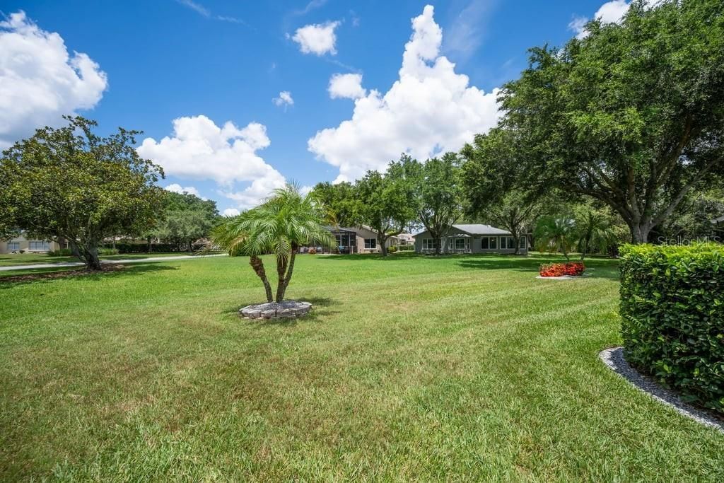 1253 Eveningside Court , Trinity, FL 34655 Photo
