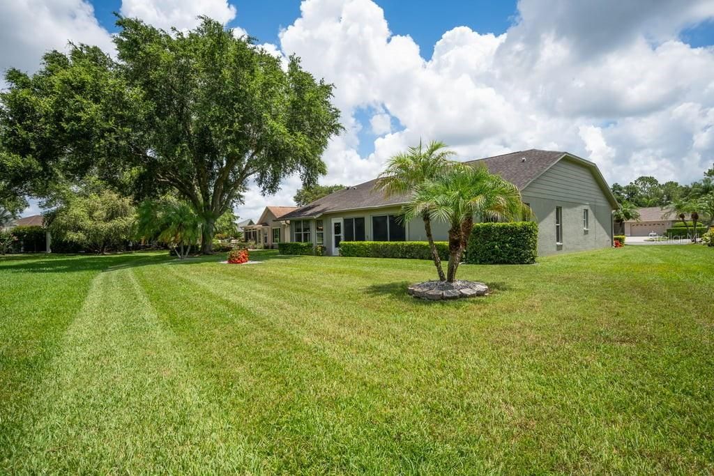 1253 Eveningside Court , Trinity, FL 34655 Photo