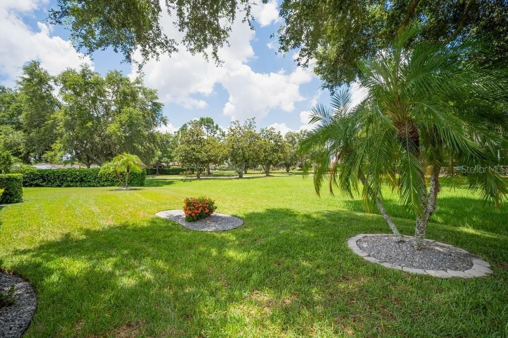 1253 Eveningside Court , Trinity, FL 34655 Photo