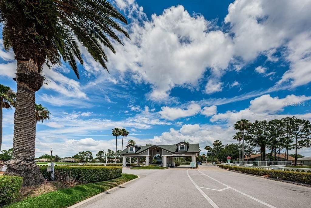 1253 Eveningside Court , Trinity, FL 34655 Photo