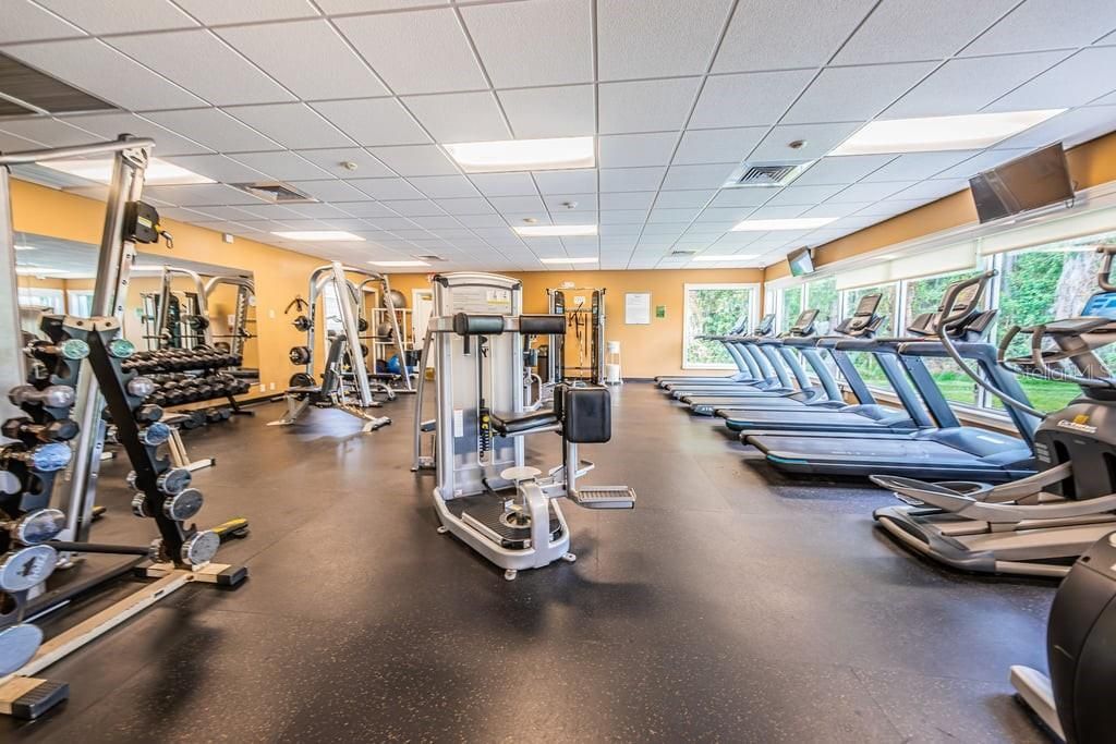 1253 Eveningside Court , Trinity, FL 34655 Photo