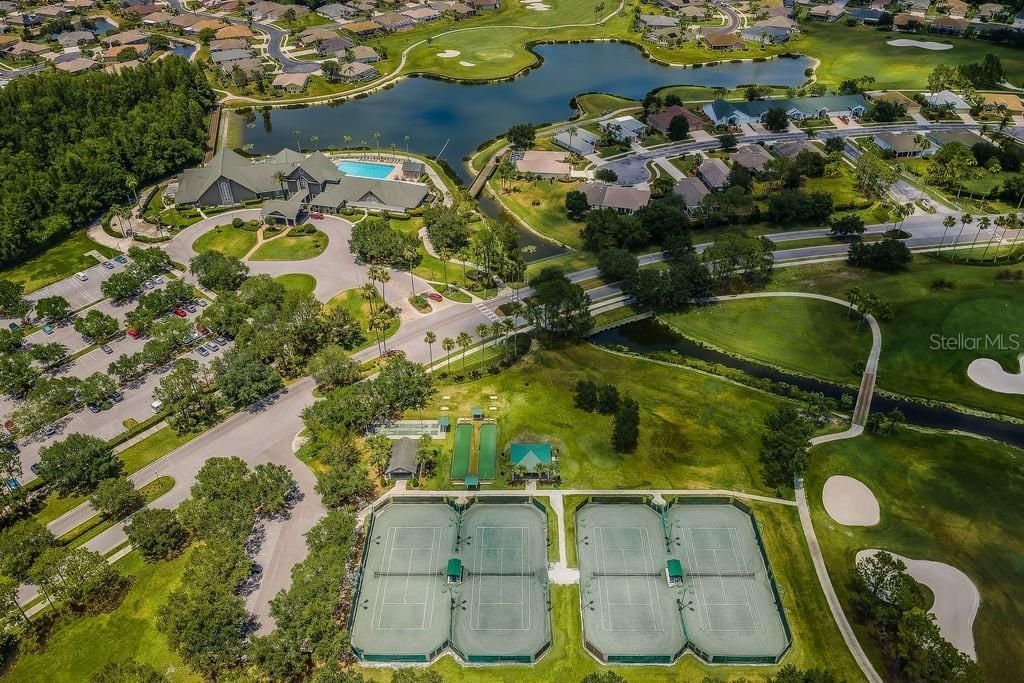 1253 Eveningside Court , Trinity, FL 34655 Photo