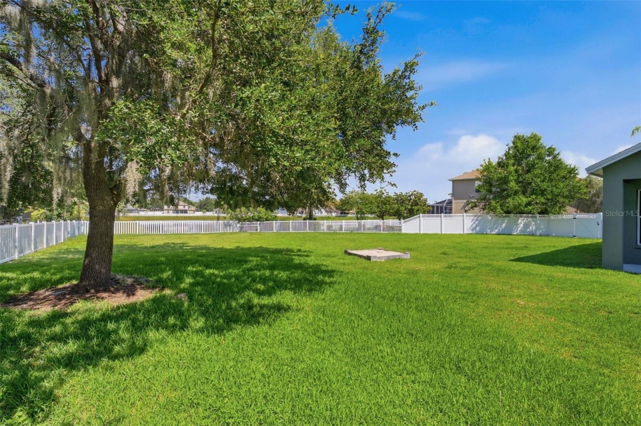 4836 Artesian Road, Land O Lakes, FL 34638 Photo