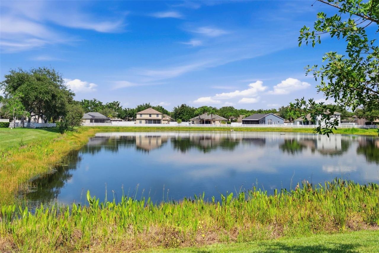 4836 Artesian Road, Land O Lakes, FL 34638 Photo