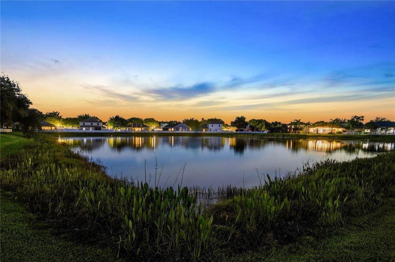 4836 Artesian Road, Land O Lakes, FL 34638 Photo
