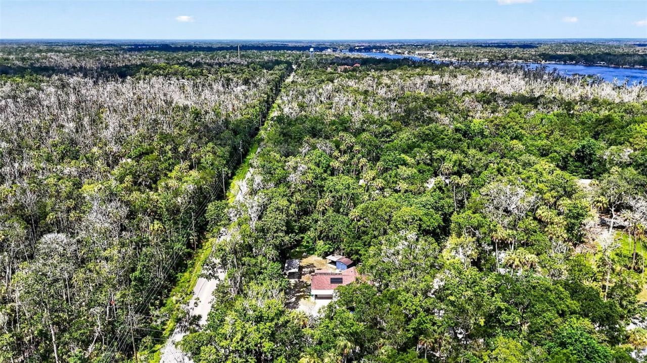 4600 S Lewoods Drive , Homosassa, FL 34448 Photo