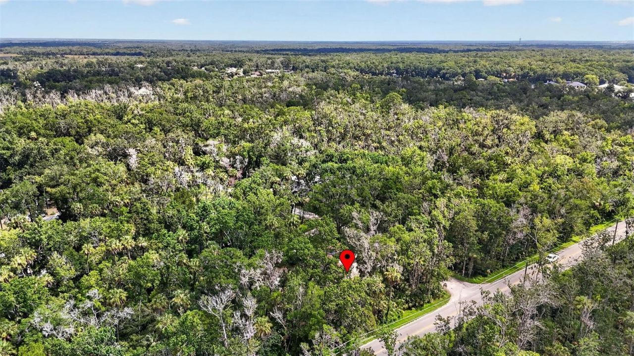 4600 S Lewoods Drive , Homosassa, FL 34448 Photo