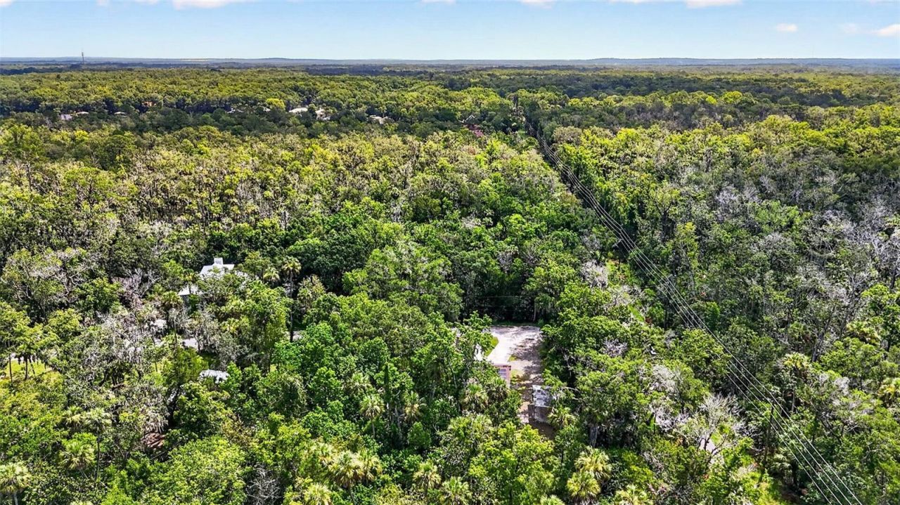4600 S Lewoods Drive , Homosassa, FL 34448 Photo