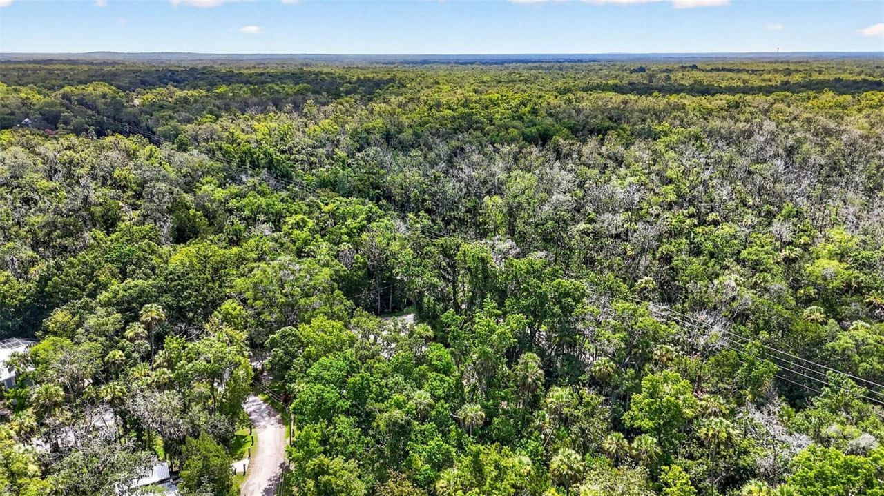 4600 S Lewoods Drive , Homosassa, FL 34448 Photo