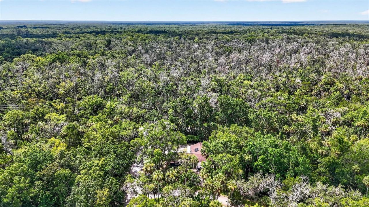 4600 S Lewoods Drive , Homosassa, FL 34448 Photo