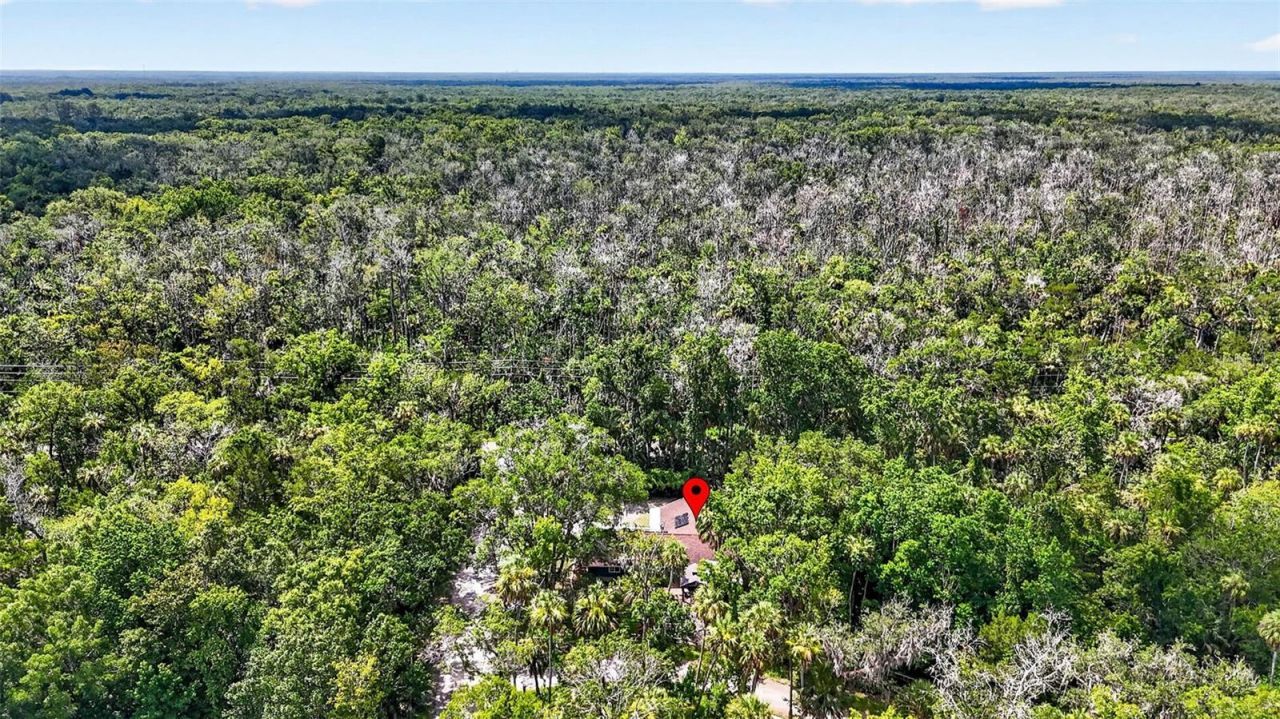 4600 S Lewoods Drive , Homosassa, FL 34448 Photo