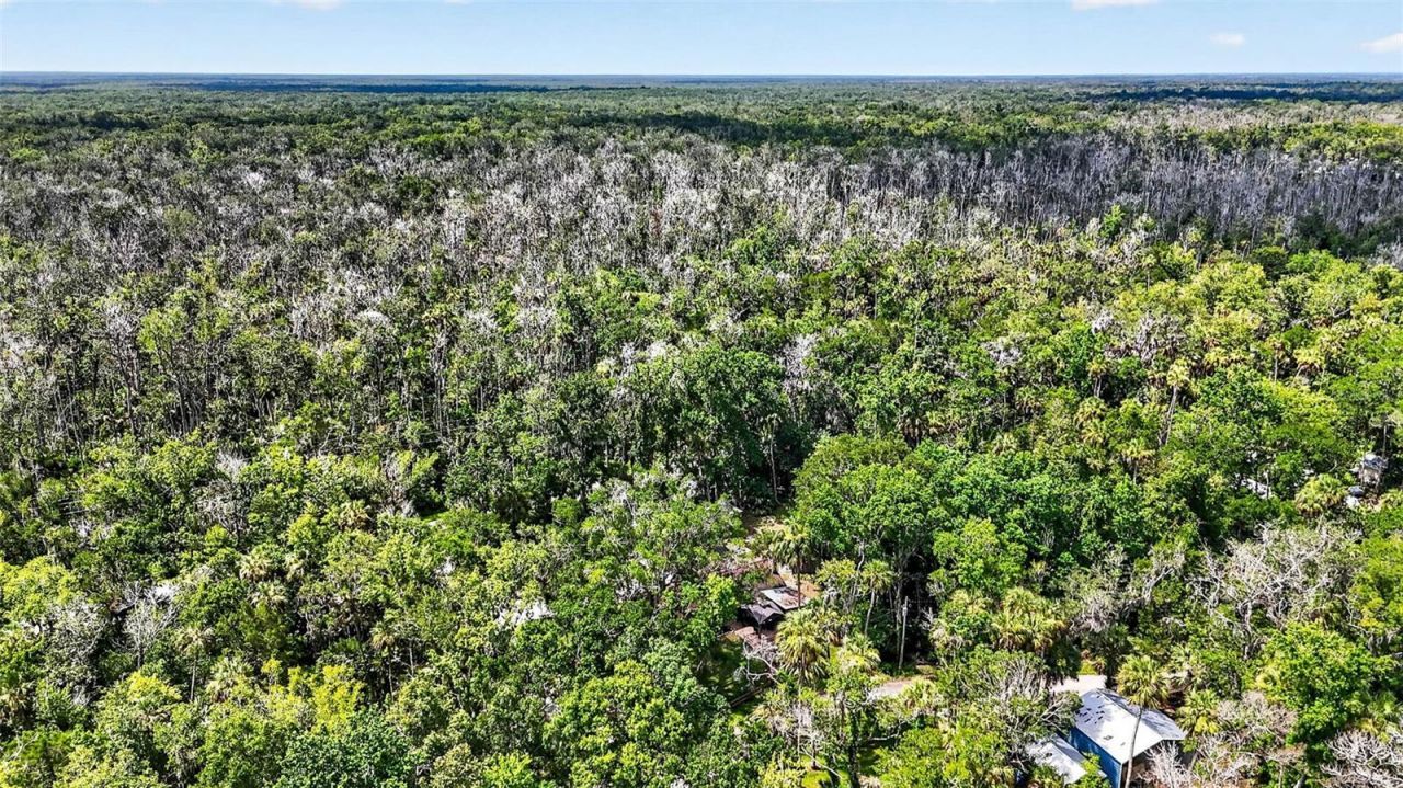 4600 S Lewoods Drive , Homosassa, FL 34448 Photo