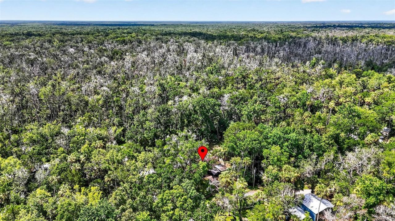 4600 S Lewoods Drive , Homosassa, FL 34448 Photo