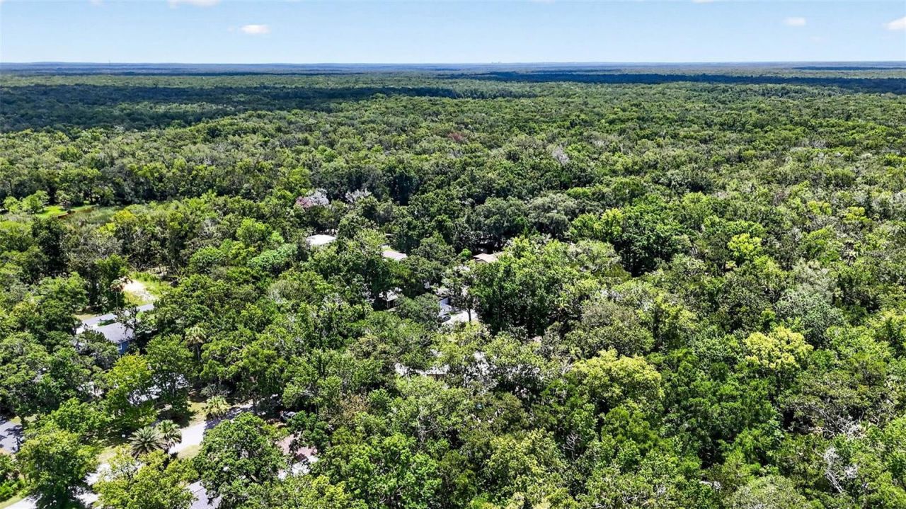 5304 S James Terrace , Homosassa, FL 34448 Photo