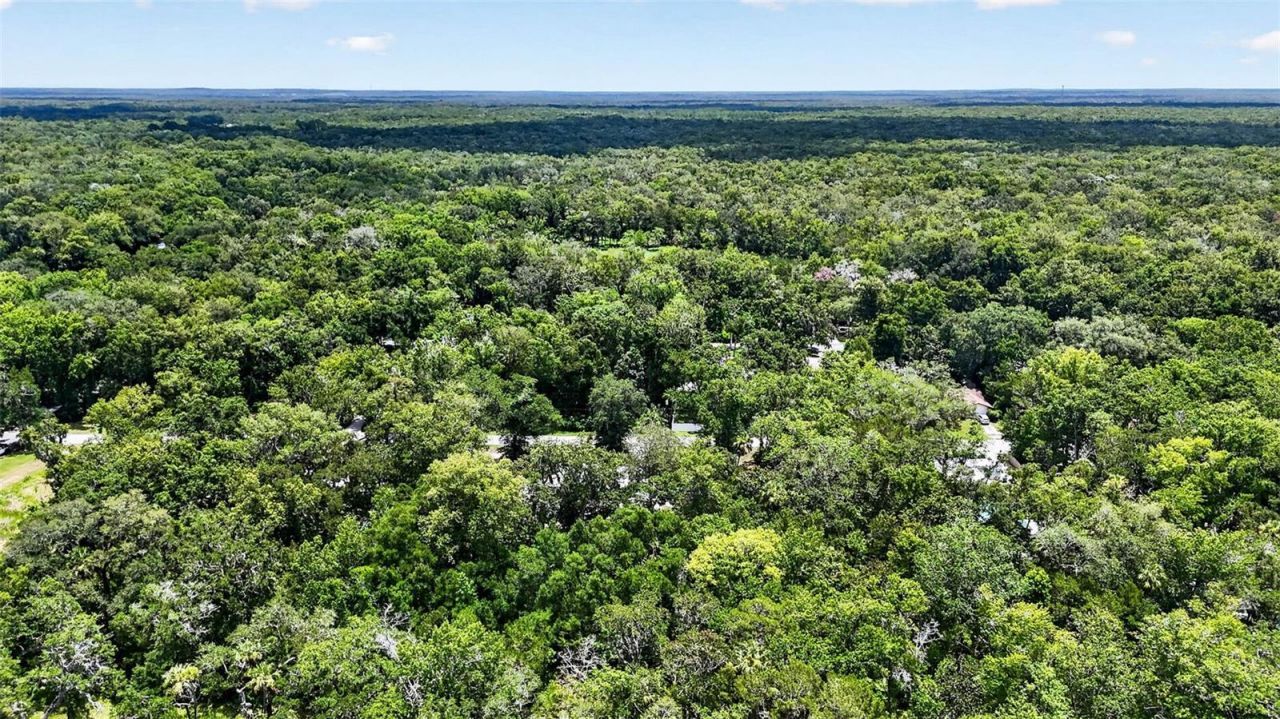 5304 S James Terrace , Homosassa, FL 34448 Photo