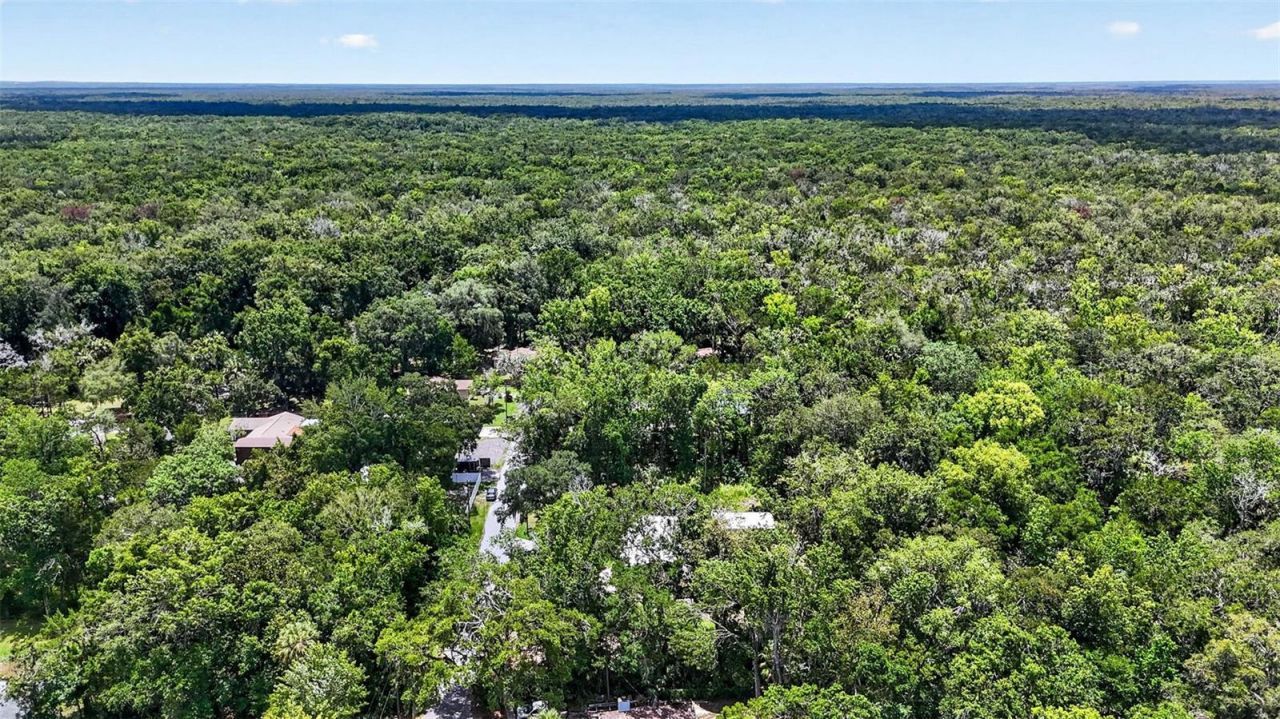 5304 S James Terrace , Homosassa, FL 34448 Photo
