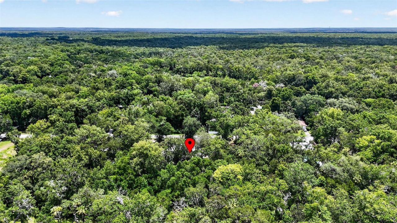 5304 S James Terrace , Homosassa, FL 34448 Photo