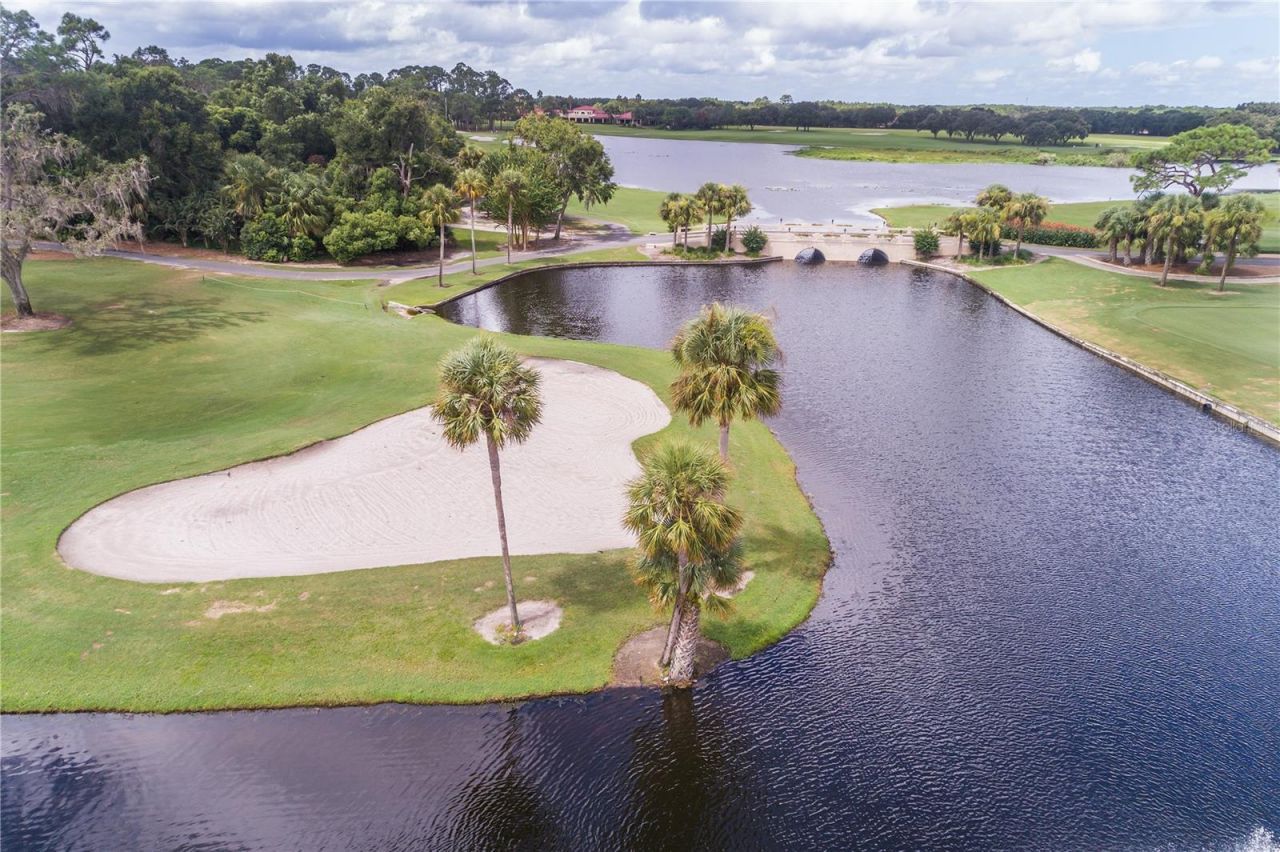 9513 Serra Court , Howey in the Hills, FL 34737 Photo