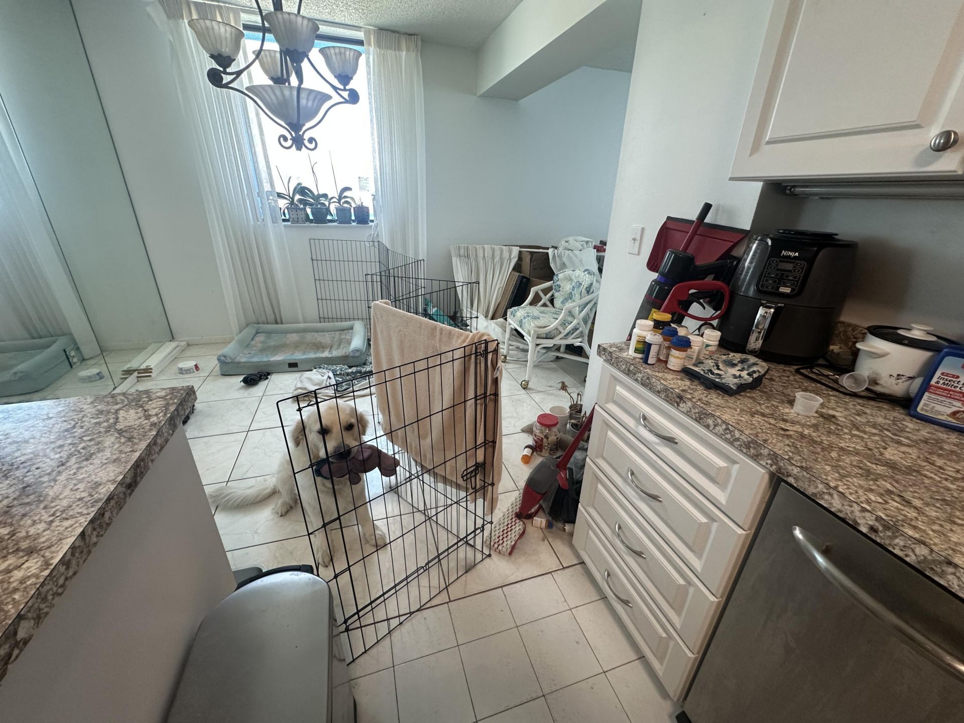 5380 N Ocean Drive, Unit 4e, Singer Island, FL 33404 Photo