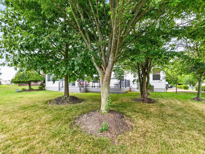 6655 Dietz Drive, Canal Winchester, OH 43110 Photo 67