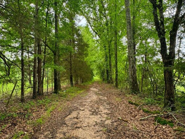 13610 Lebanon Pinegrove Road, Terry, MS 39170