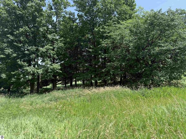 Lachance Road S, McBain, MI 49657