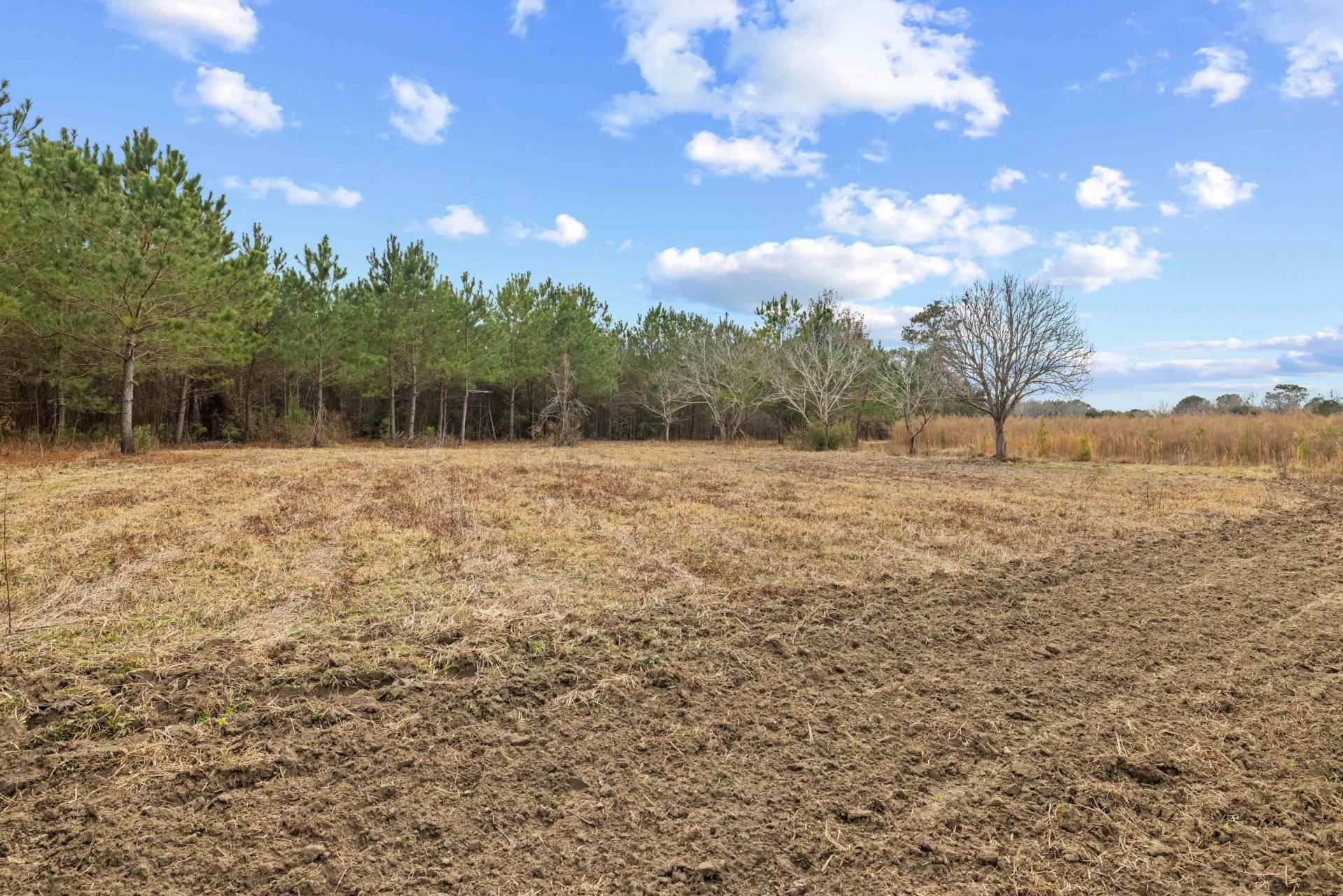 Tbd 183 Acres Blakely Rd.  Photo 11