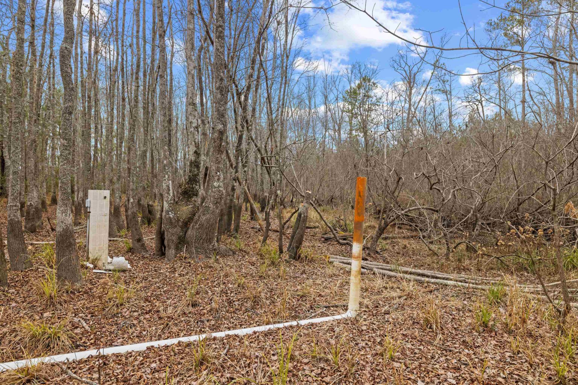 Tbd 183 Acres Blakely Rd.  Photo 12