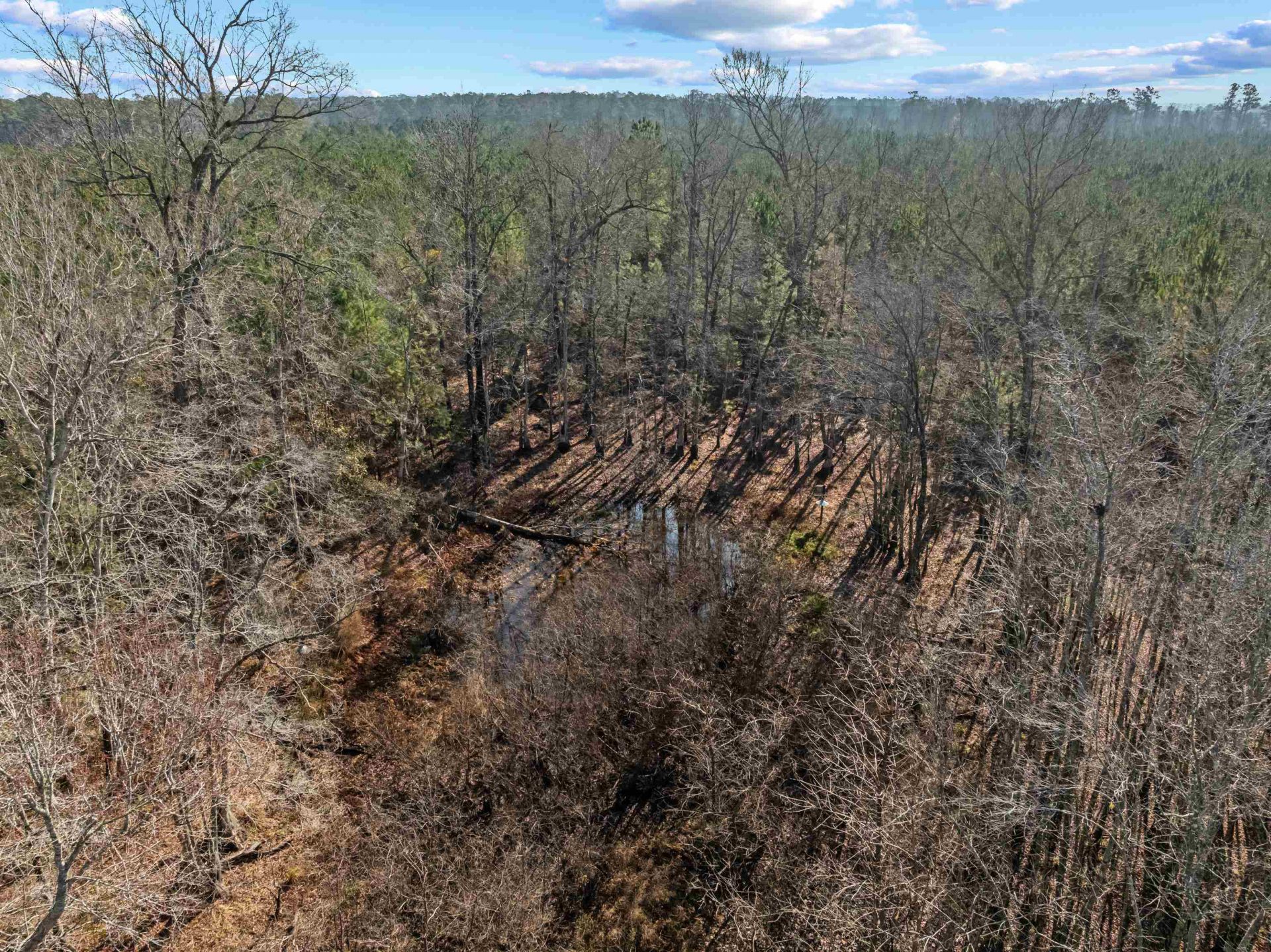 Tbd 183 Acres Blakely Rd.  Photo 14