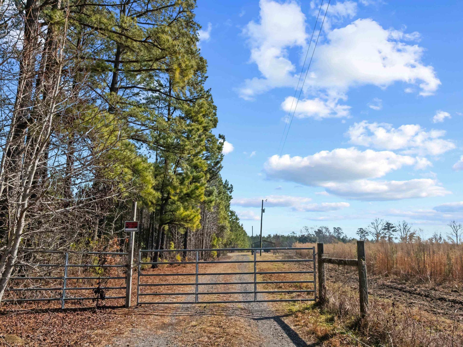 Tbd 183 Acres Blakely Rd.  Photo 15