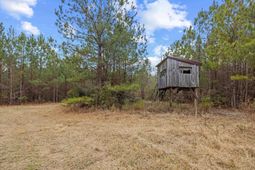 Tbd 183 Acres Blakely Rd.  photo 4